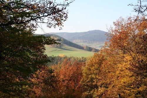 Blokhuis Heringhausen-Diemelsee Экстерьер фото